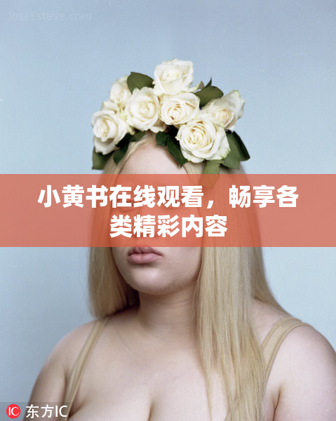 小黄书在线观看，畅享各类精彩内容
