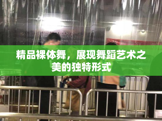 精品裸体舞，展现舞蹈艺术之美的独特形式