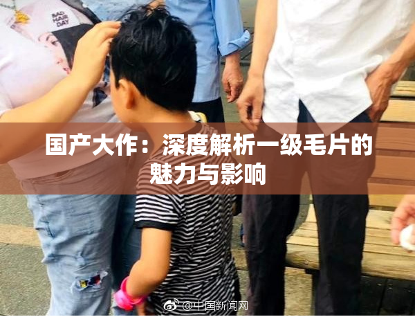 国产大作：深度解析一级毛片的魅力与影响