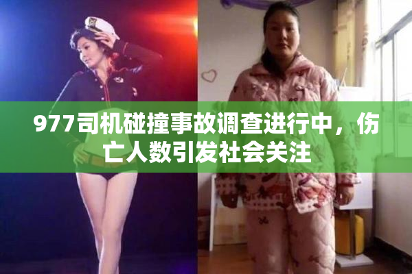 977司机碰撞事故调查进行中，伤亡人数引发社会关注