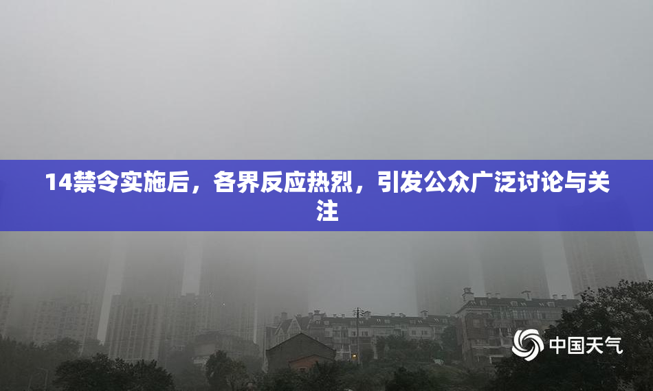 14禁令实施后，各界反应热烈，引发公众广泛讨论与关注