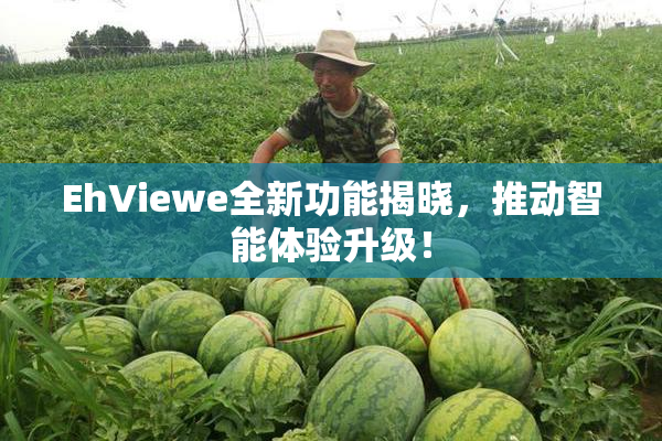 EhViewe全新功能揭晓，推动智能体验升级！