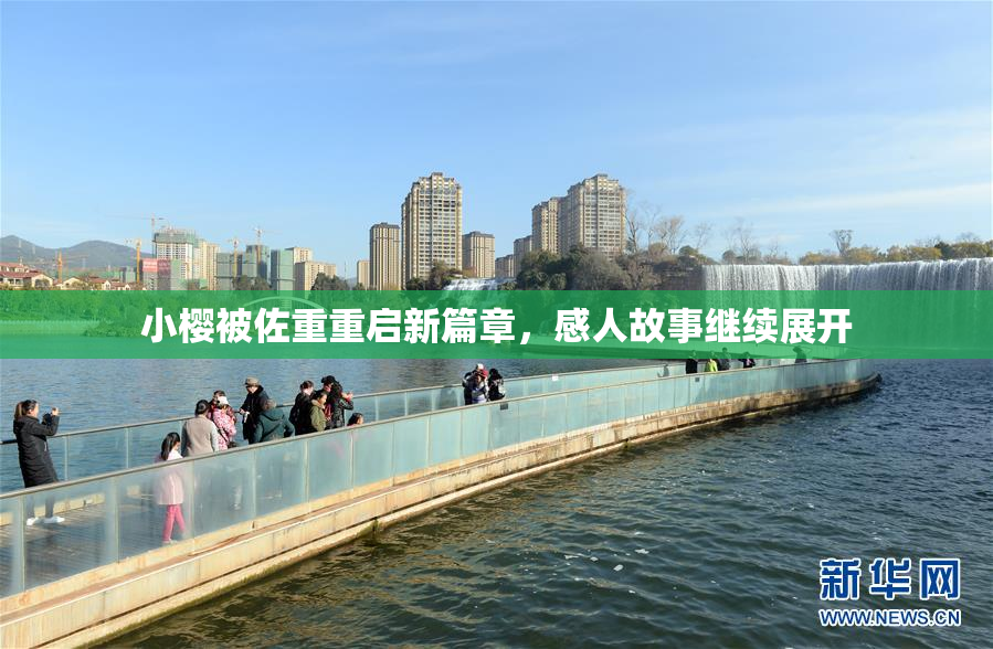 小樱被佐重重启新篇章，感人故事继续展开