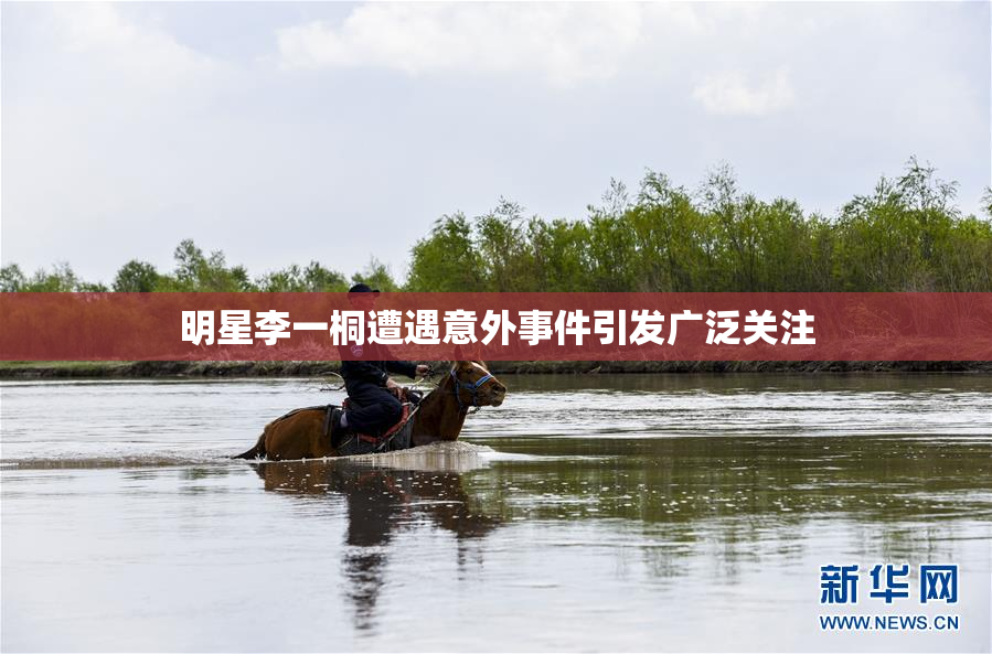 明星李一桐遭遇意外事件引发广泛关注