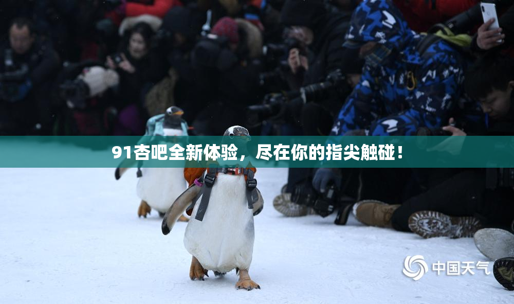 91杏吧全新体验，尽在你的指尖触碰！