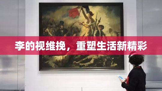 李的视维挽，重塑生活新精彩