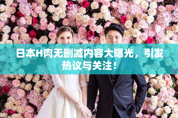 日本H肉无删减内容大曝光，引发热议与关注！