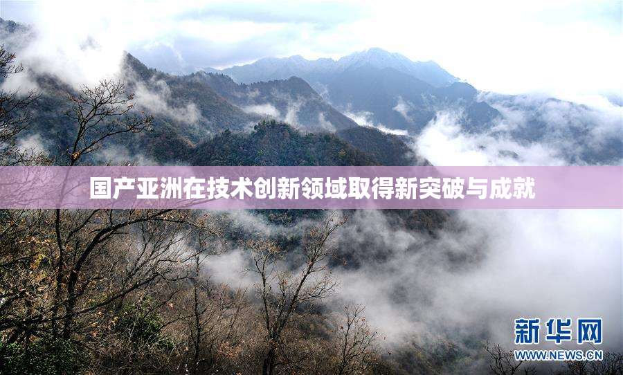 国产亚洲在技术创新领域取得新突破与成就