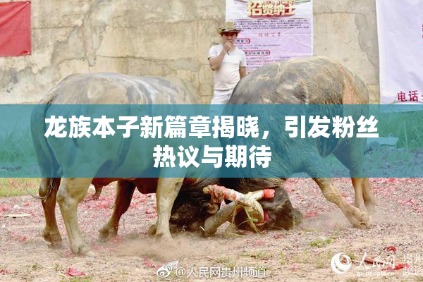龙族本子新篇章揭晓，引发粉丝热议与期待