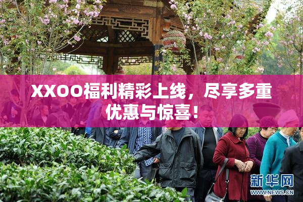 XXOO福利精彩上线，尽享多重优惠与惊喜！