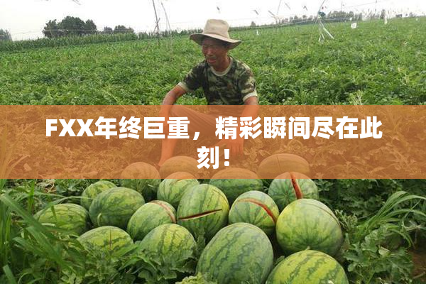 FXX年终巨重，精彩瞬间尽在此刻！