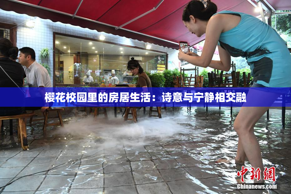 樱花校园里的房居生活：诗意与宁静相交融