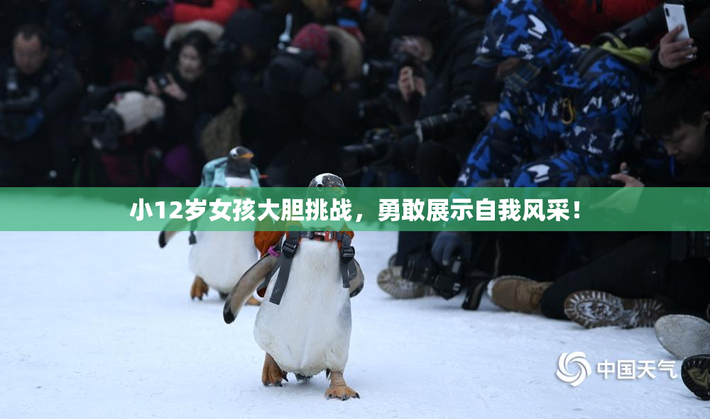小12岁女孩大胆挑战，勇敢展示自我风采！