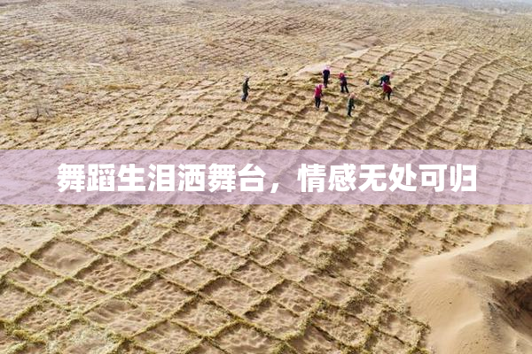 舞蹈生泪洒舞台，情感无处可归