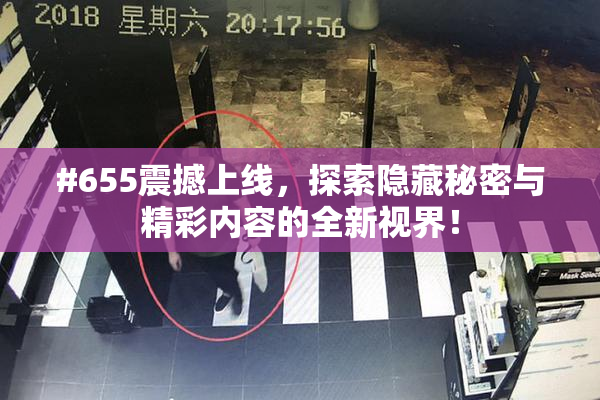 #655震撼上线，探索隐藏秘密与精彩内容的全新视界！