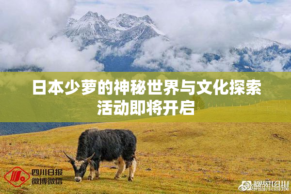 日本少萝的神秘世界与文化探索活动即将开启