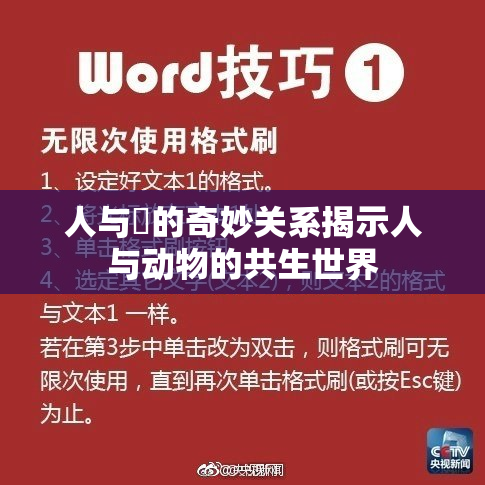 人与嘼的奇妙关系揭示人与动物的共生世界