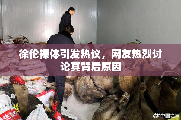 徐伦裸体引发热议，网友热烈讨论其背后原因