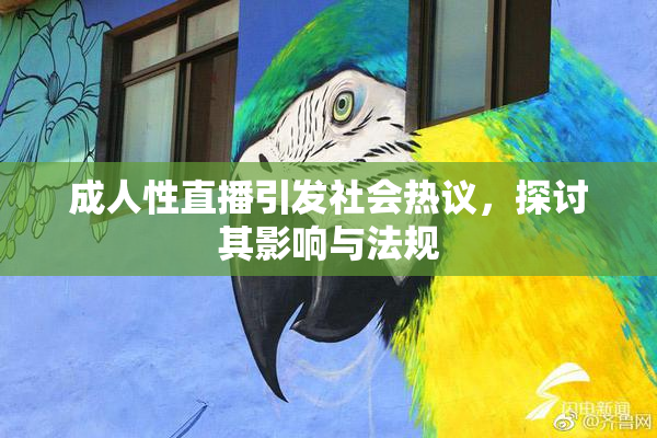 成人性直播引发社会热议，探讨其影响与法规