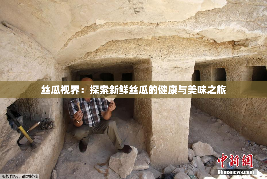 丝瓜视界：探索新鲜丝瓜的健康与美味之旅