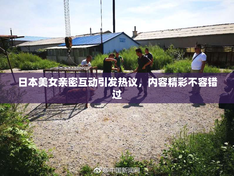 日本美女亲密互动引发热议，内容精彩不容错过