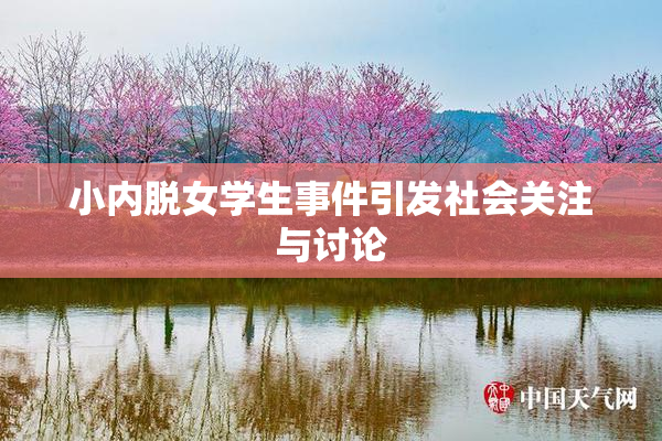 小内脱女学生事件引发社会关注与讨论