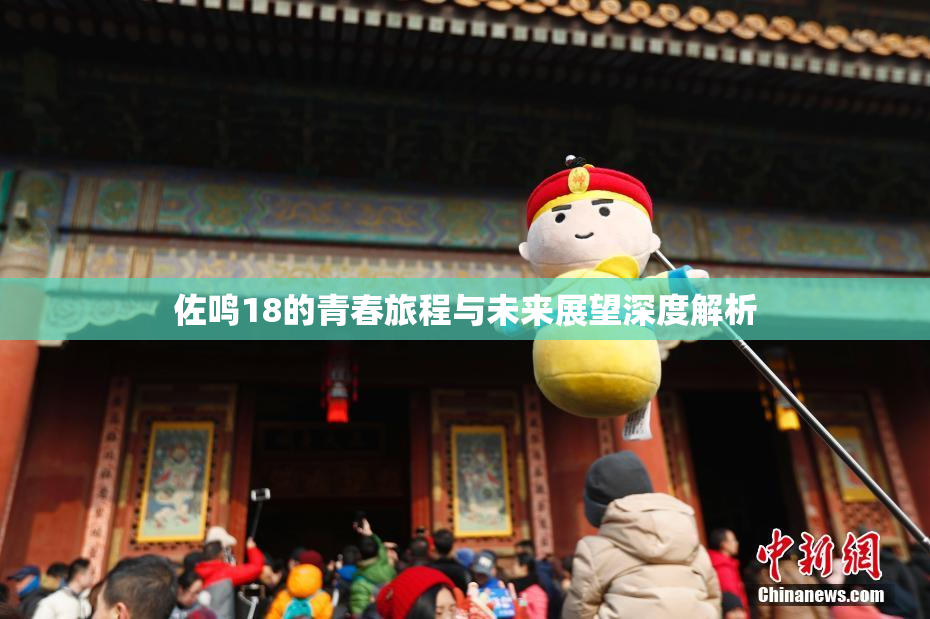 佐鸣18的青春旅程与未来展望深度解析