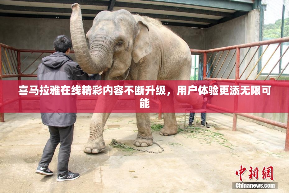 喜马拉雅在线精彩内容不断升级，用户体验更添无限可能