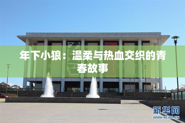 年下小狼：温柔与热血交织的青春故事