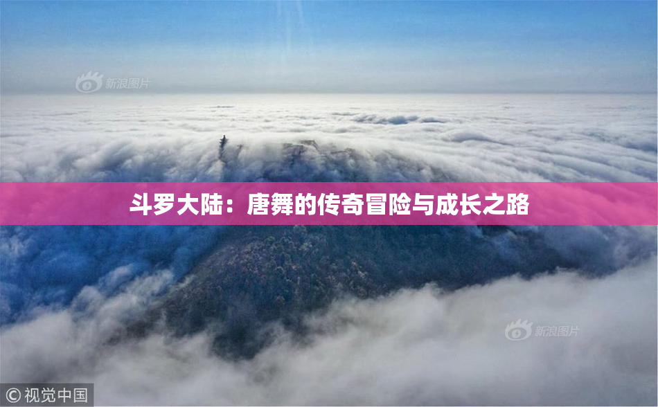 斗罗大陆：唐舞的传奇冒险与成长之路