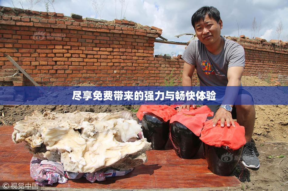 尽享免费带来的强力与畅快体验