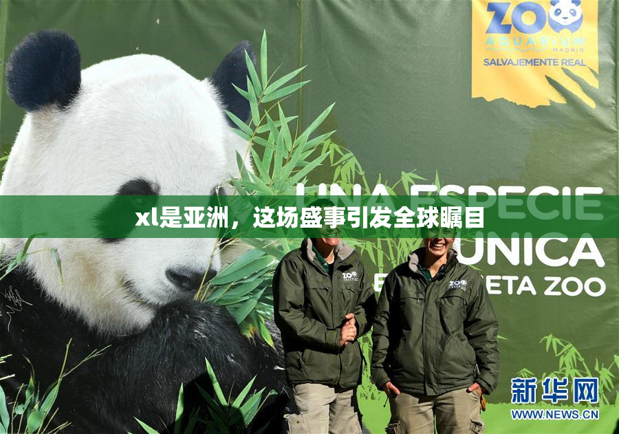 xl是亚洲，这场盛事引发全球瞩目
