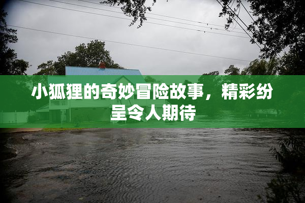 小狐狸的奇妙冒险故事，精彩纷呈令人期待