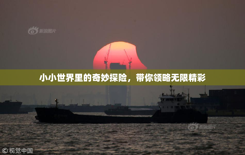 小小世界里的奇妙探险，带你领略无限精彩