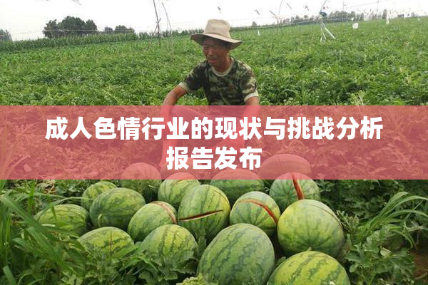 成人色情行业的现状与挑战分析报告发布