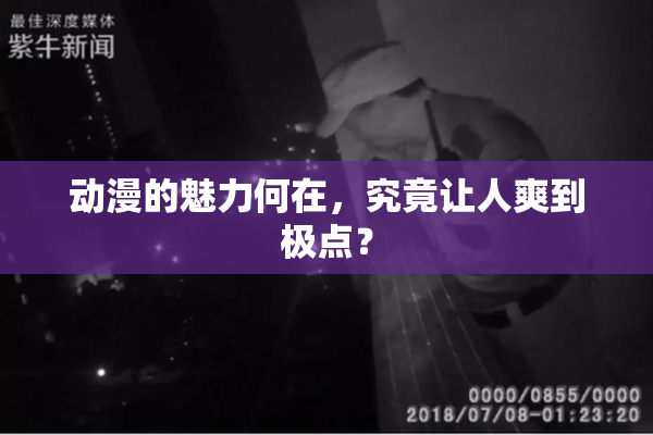 动漫的魅力何在，究竟让人爽到极点？