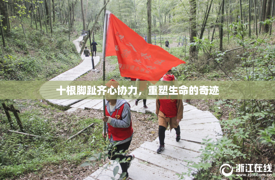 十根脚趾齐心协力，重塑生命的奇迹