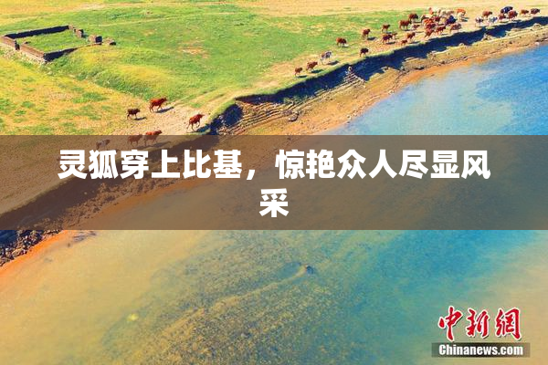 灵狐穿上比基，惊艳众人尽显风采