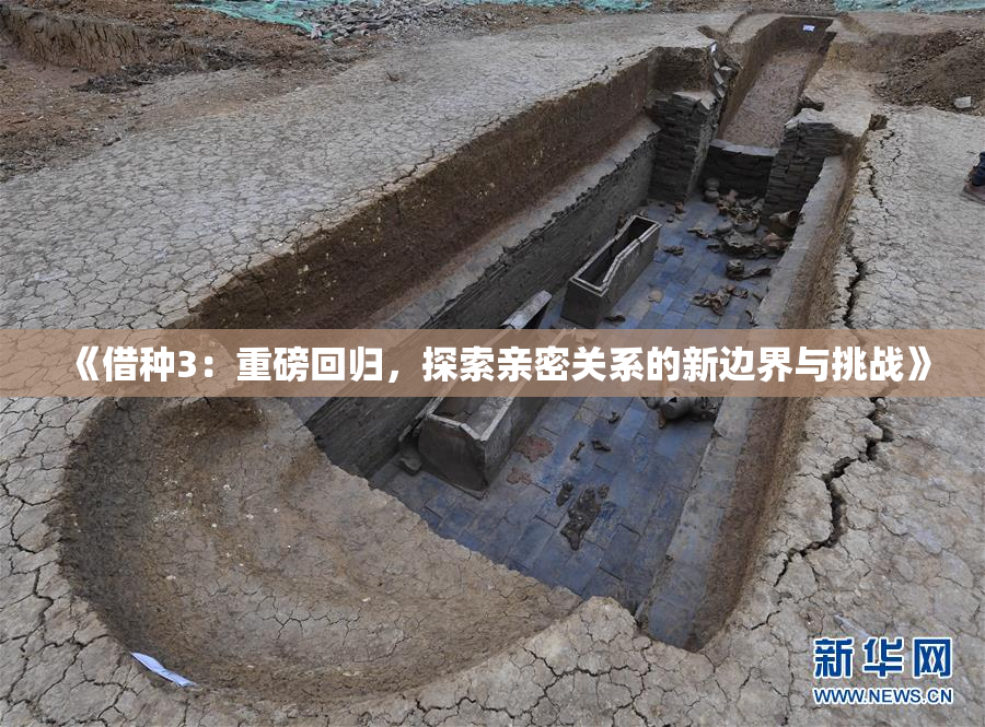 《借种3：重磅回归，探索亲密关系的新边界与挑战》