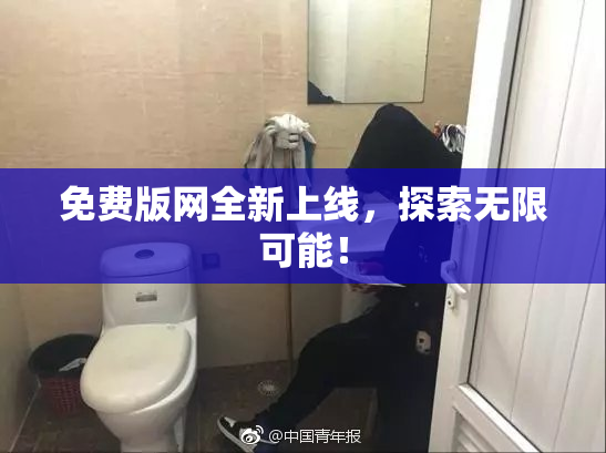 免费版网全新上线，探索无限可能！