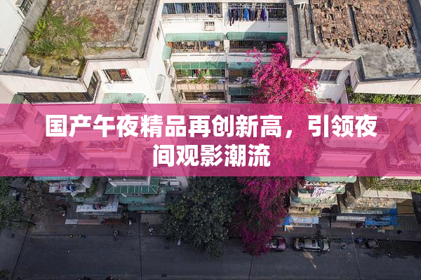 国产午夜精品再创新高，引领夜间观影潮流
