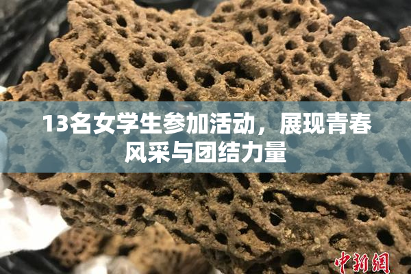 13名女学生参加活动，展现青春风采与团结力量