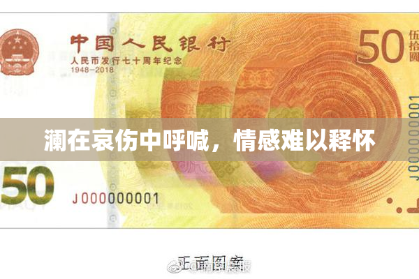澜在哀伤中呼喊，情感难以释怀