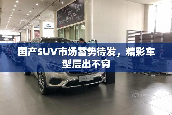 国产SUV市场蓄势待发，精彩车型层出不穷