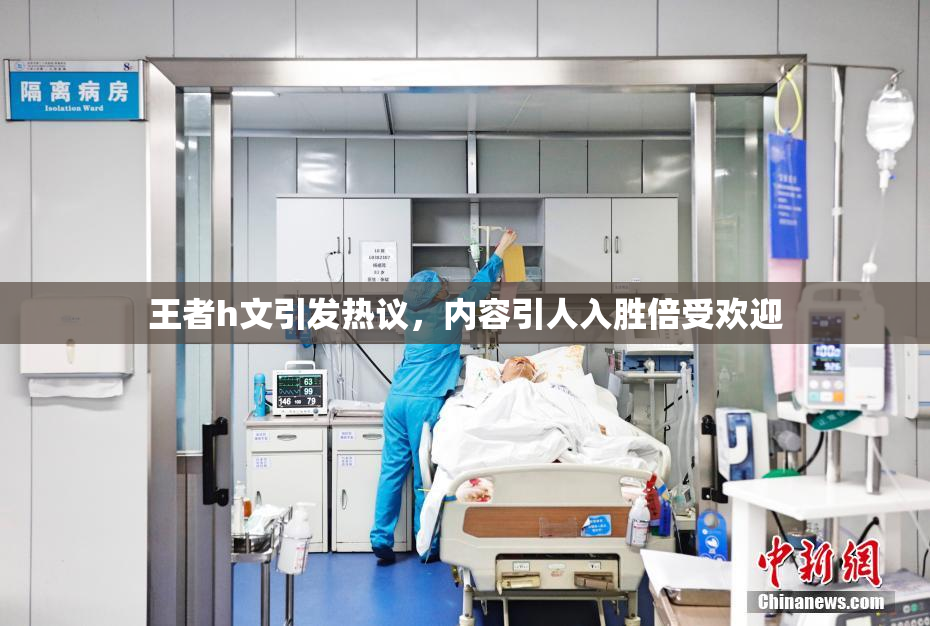王者h文引发热议，内容引人入胜倍受欢迎