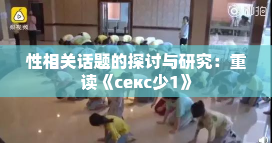 性相关话题的探讨与研究：重读《секс少1》