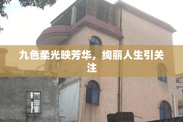 九色柔光映芳华，绚丽人生引关注