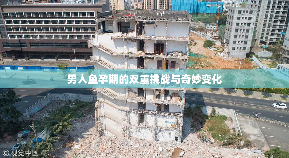 男人鱼孕期的双重挑战与奇妙变化