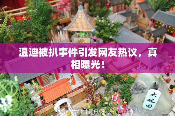 温迪被扒事件引发网友热议，真相曝光！