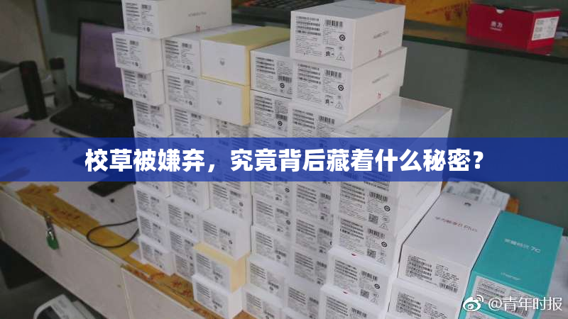 校草被嫌弃，究竟背后藏着什么秘密？